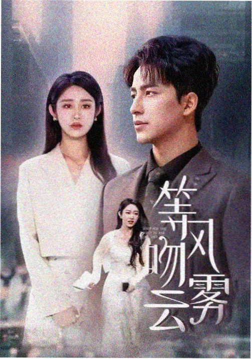 剧集盐镇纪事片单封面
