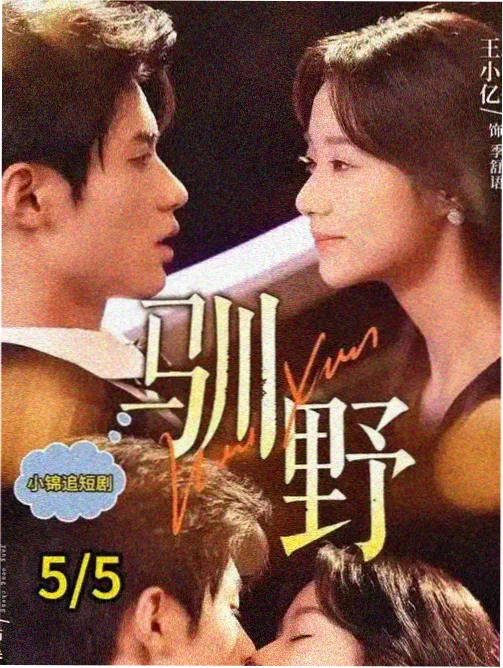 蒙太奇术语图鉴配图